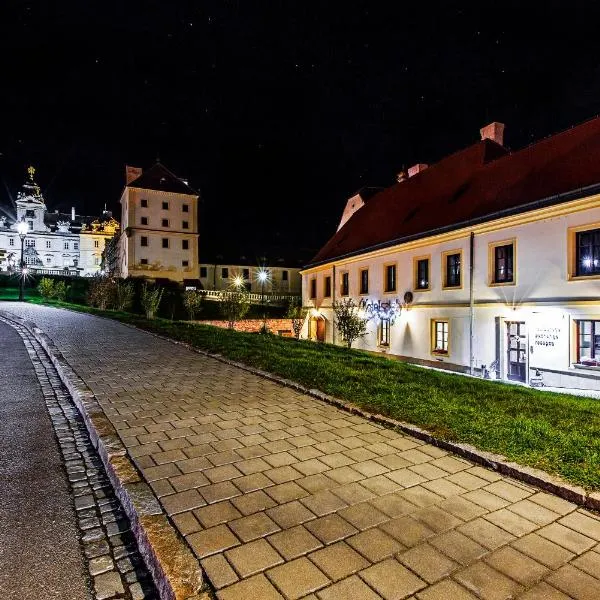 Hotel Salety, hotel vo Valticiach