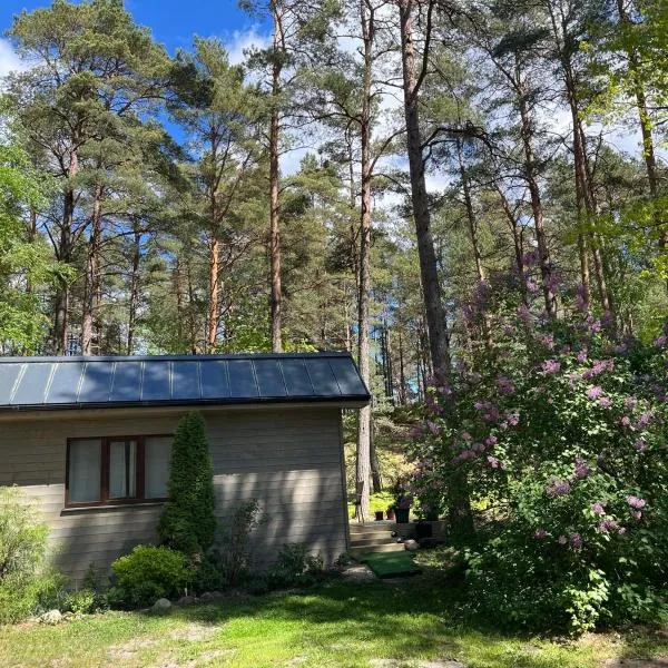 Vasara Noānā, hotel v destinácii Plieņciems