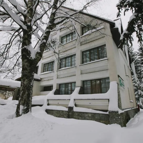 Hotel Fersped, hotel in Mavrovo