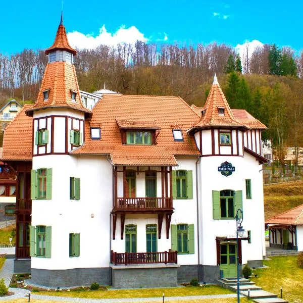 Turul Villa, hotel a Sovata