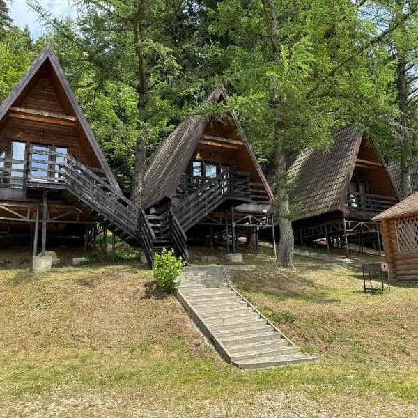 Karpatskyy, hotell sihtkohas Rozluch