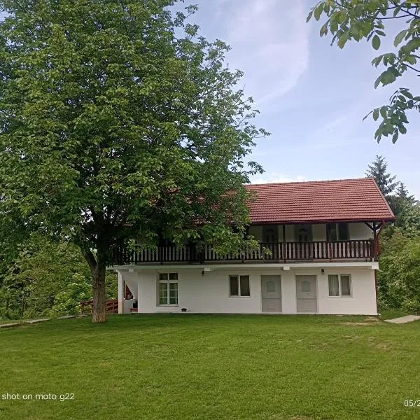 Pensiunea Leon Geoagiu băi, hotel en Geoagiu Băi