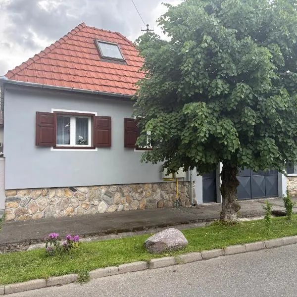 Casa Tei, hotell i Turnişor