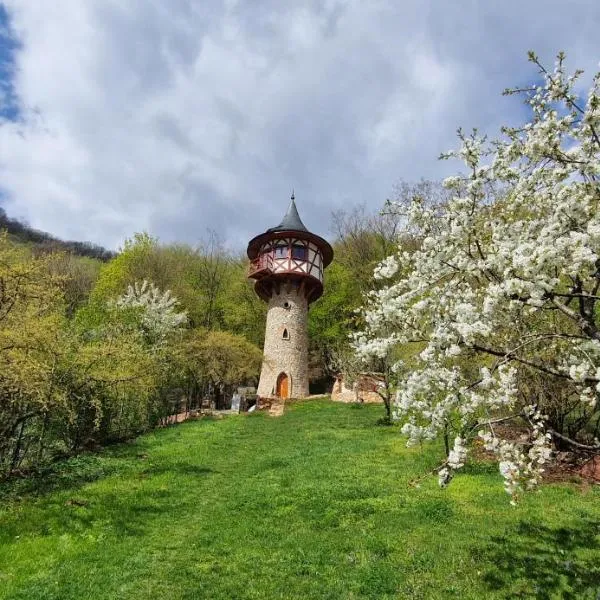 Veža na vlásku, hôtel à Háj
