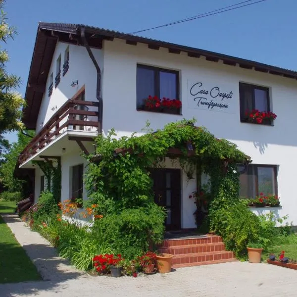 Casa Oaspeti Transfagarasan، فندق في سيرتيزوارا
