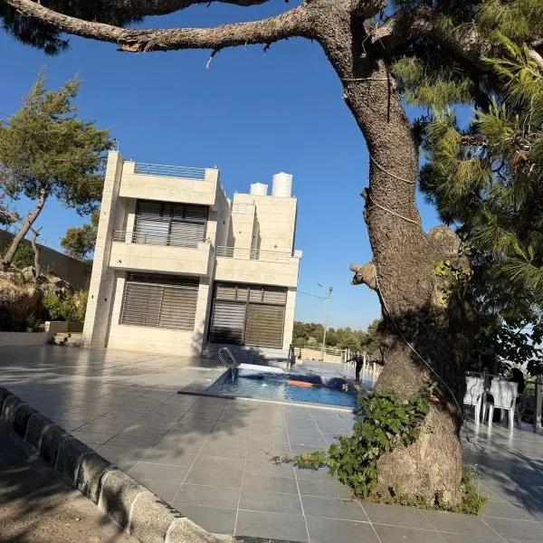 The Pine Tree Chalet,位于杰拉什的酒店