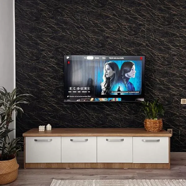 Cozy apartment, hotel u gradu Florešti