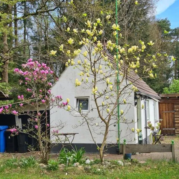 Tiny house im Wingster Forst, hotel sa Wingst