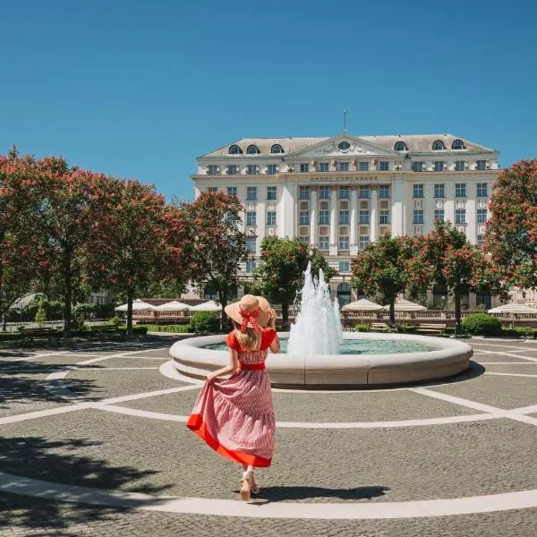 Esplanade Zagreb Hotel, Hotel in Zagreb