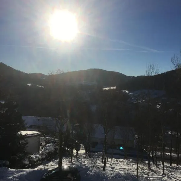 Appartement im Skigebiet Eschenberg Winterberg Niedersfeld, hotel in Winterberg