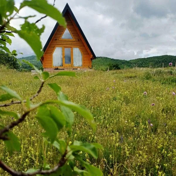 Diva House, hotel Nikšićben