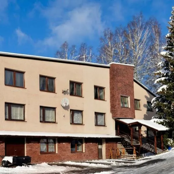 Penzion Horalka, hotel em Hlinsko