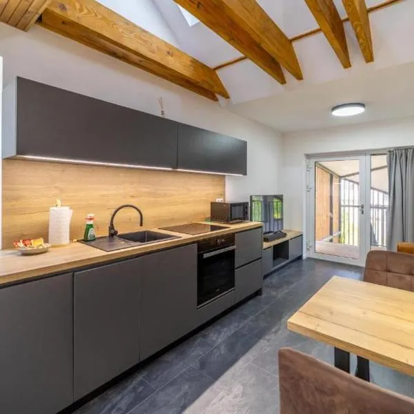 CASTLE Apartments Premium - City Center, khách sạn ở Spišské Podhradie