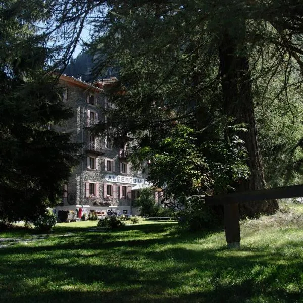 Albergo Monte Cervino, готель у місті Шамполюк