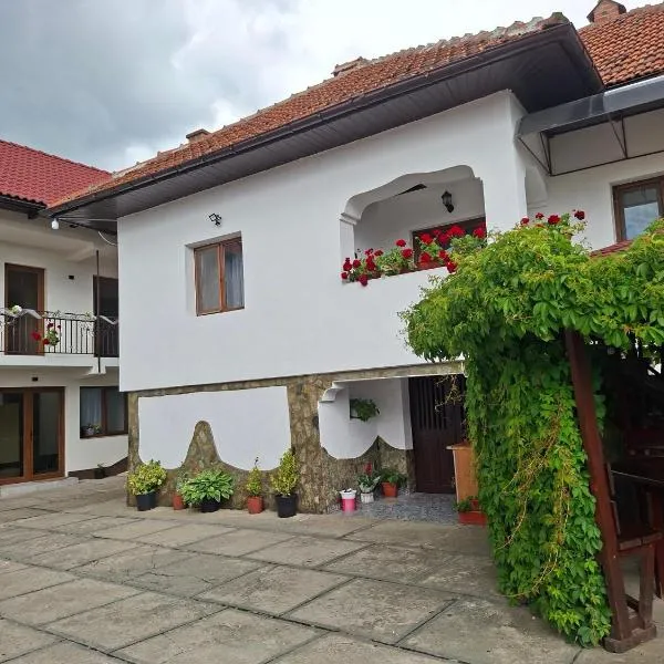 Pensiunea Ileana, hotel sa Novaci-Străini