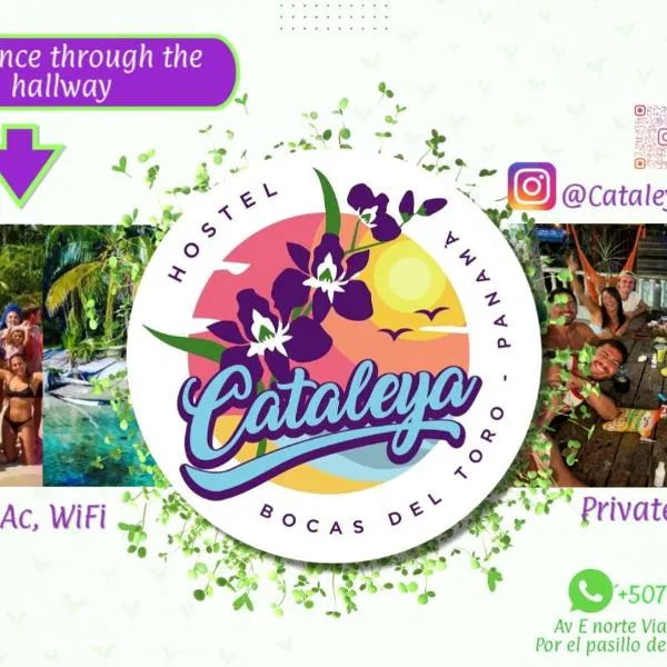 Cataleya BDT, hotel en Bocas del Toro