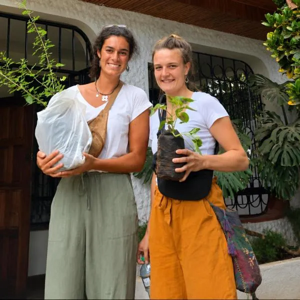 Jungle Nairobi Backpackers Hostel，內羅畢的飯店
