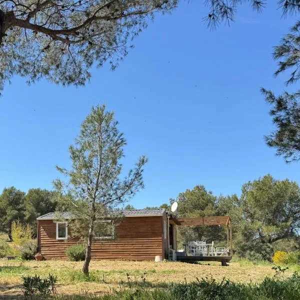 Gîte insolite dans la colline provençale-piscine-terasses chaleureuses, hotel en Lançon-Provence