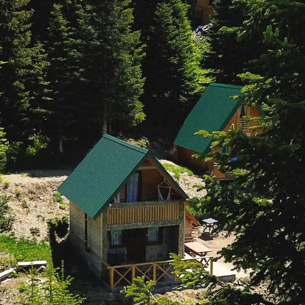 Kolašin में, होटल Mountain apartment-Komovi