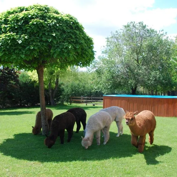 Alpacacamp, hotel a Helvécia