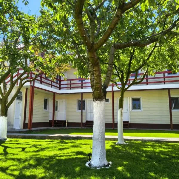 Vila Aty & Michelle, hotell i Vama Veche