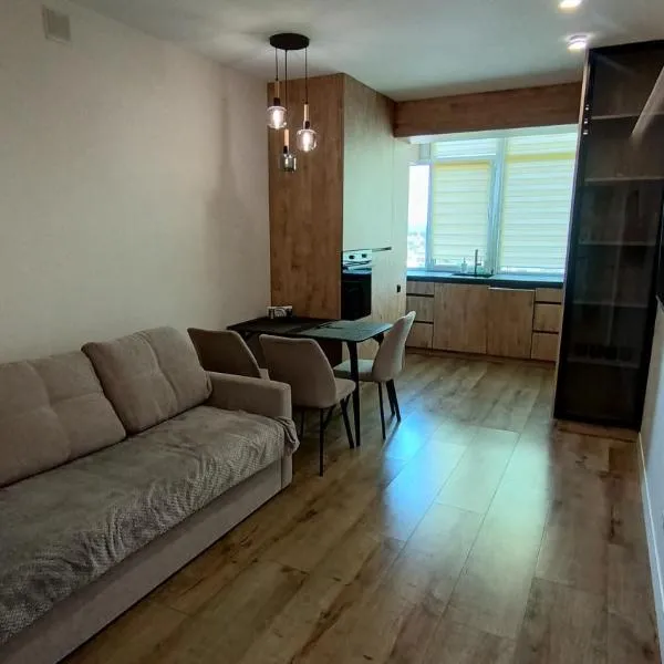 Містечко центральне вулиця височана поблизу центру, hotel v destinácii Ivano-Frankivsk