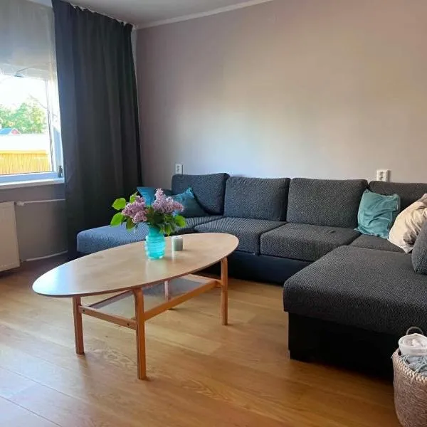 Viskoosa Näkmani Apartment, Hotel in Kõrgessaare