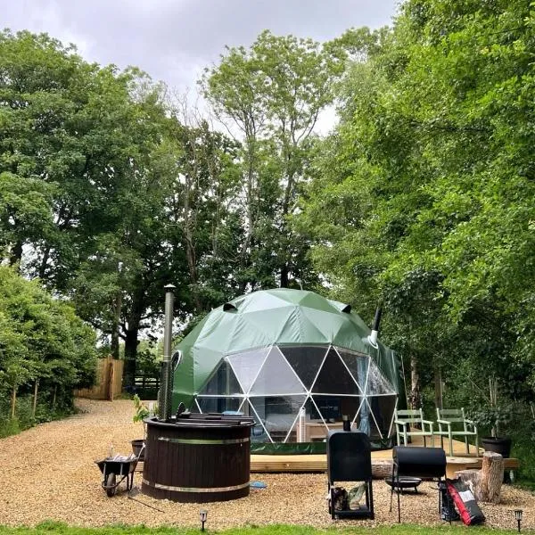 Cherry Tree Dome, hotel in Smeeth