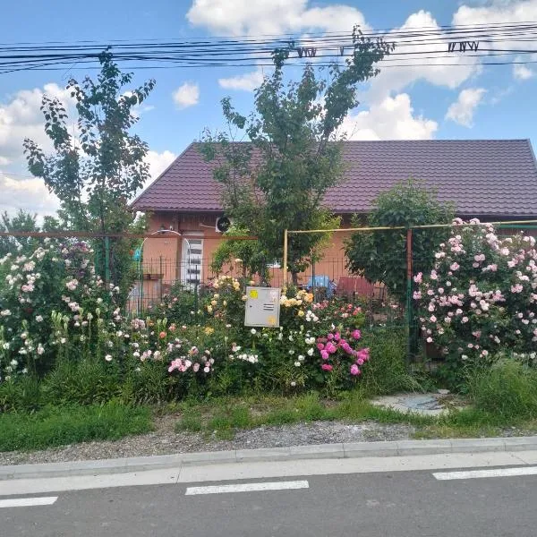 Garsoniera 20m2 anexată la casa proprietarului, hotel u gradu Botošani