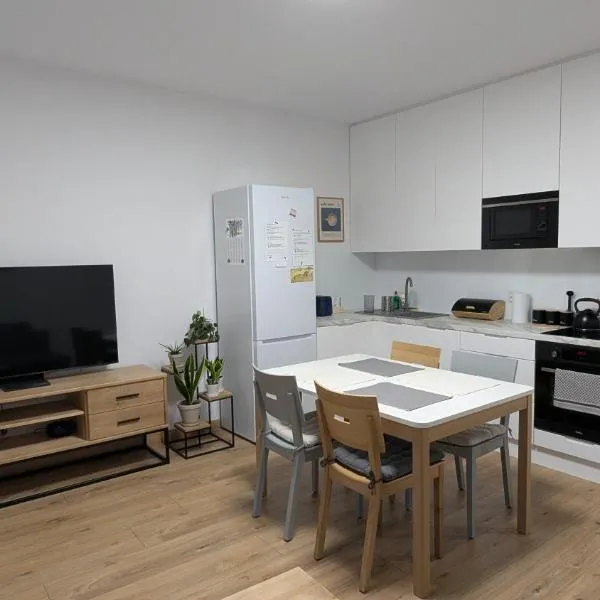 Apartament Banacha 10、クラクフのホテル