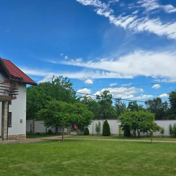 Pensiunea Casa Mădă, hotel sa Baia de Fier