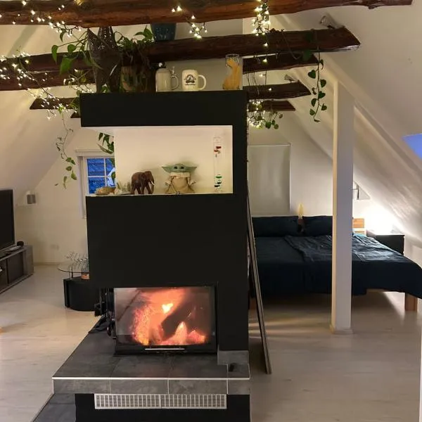 Charmantes und geräumiges Loft im DG eines Fachwerkhauses، فندق في دورتموند