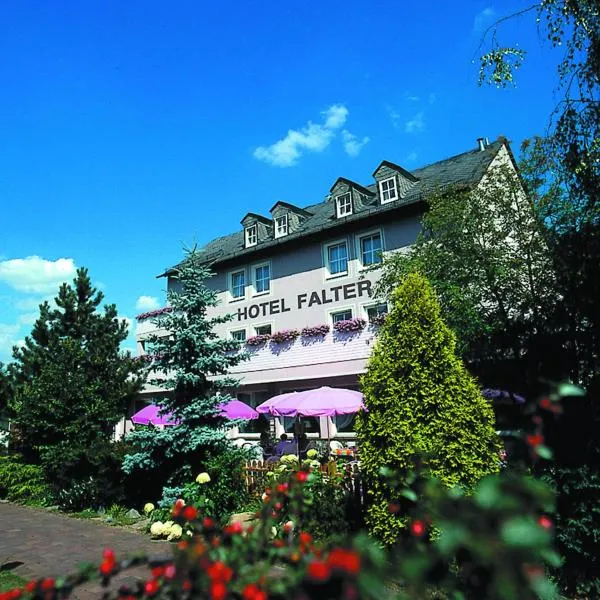 Hof में, होटल Hotel Falter