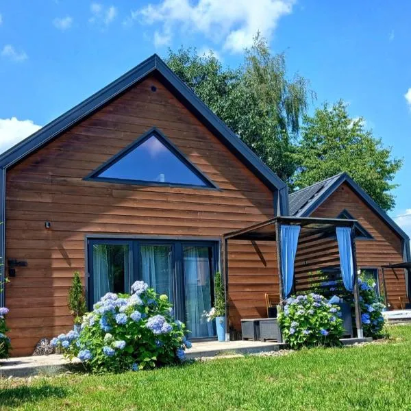 Eleonor Accommodation exclusive house, hotel en Liszki