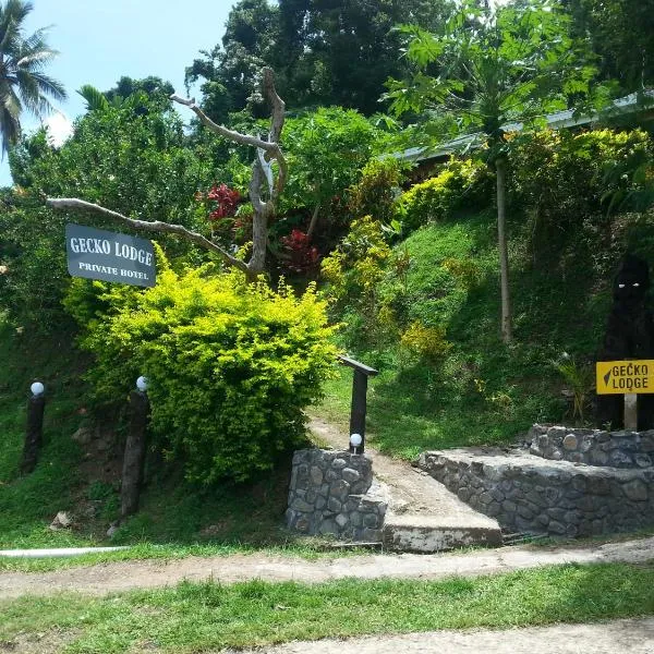 Gecko Lodge Fiji, hotel v destinaci Savusavu