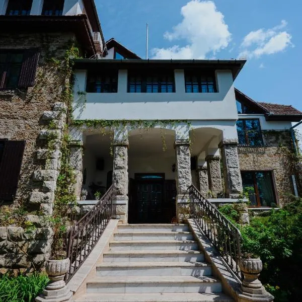 Vila Castelul Maria، فندق في Banpotoc