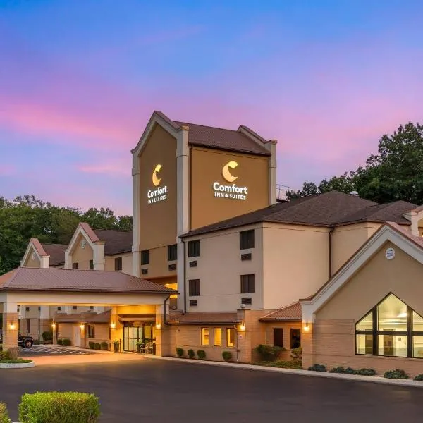 Comfort Inn & Suites LaVale - Cumberland, hotel em La Vale