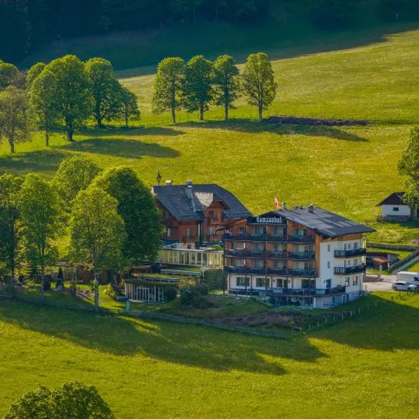 Hotel Ramsauhof Zimmer Appartement Pool & Wellness – hotel w mieście Ramsau am Dachstein
