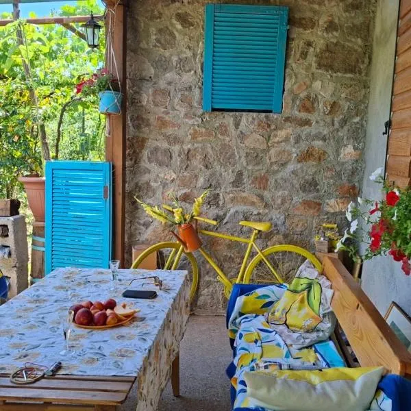 Ethno home 14 - Montenegro, готель у Подгориці