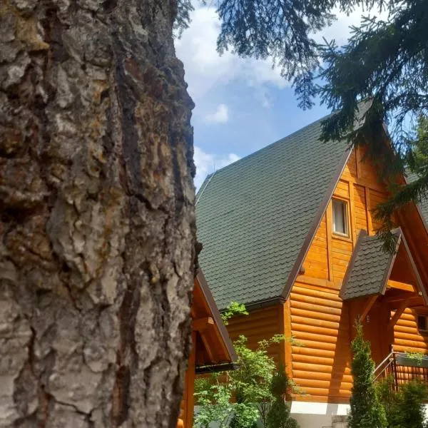 ZlatAir Eco Chalet, hotel in Nova Varoš