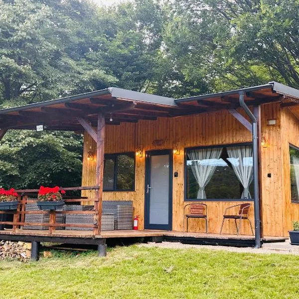 Wood Nest Curtea de Argeș - Cabană de vacanță în natură, hotell i Curtea de Argeş
