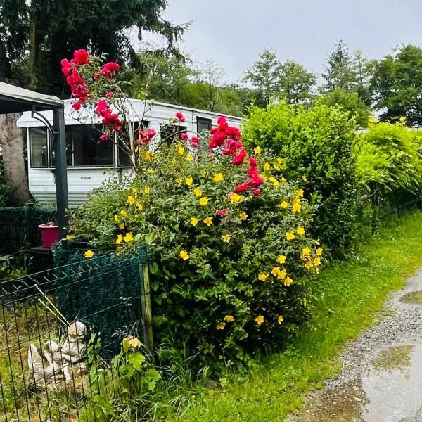 Camping du moulin étang de pêche ferme nature, hotel en Philippeville
