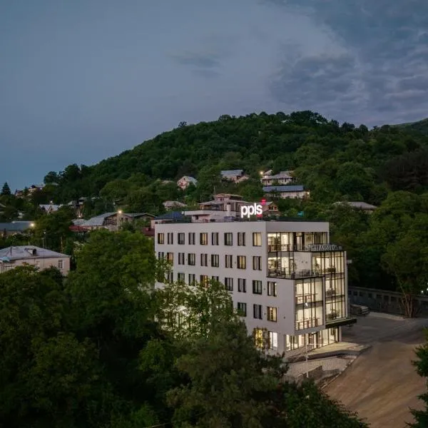 PPLS Home Dilijan,迪利然的飯店