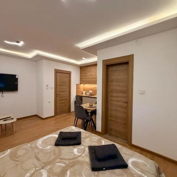Taca 1 - Airport apartman, hotel en Surčin
