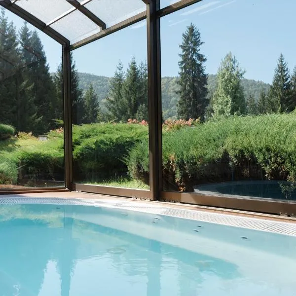 Hotel Clermont, hotel a Covasna