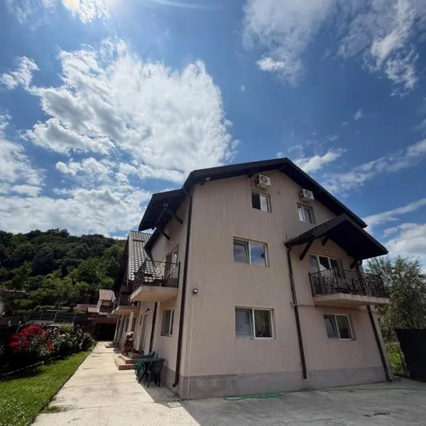 Vila Mina, hotel di Ocnele Mari