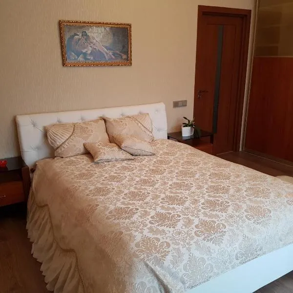 Riga airport Apartment,位于里加的酒店