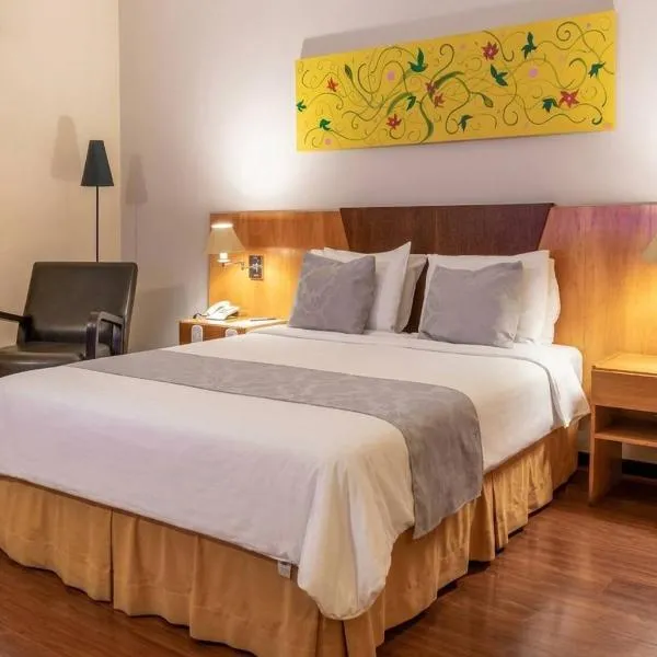 Dexter Hotel - Volta Redonda, hotel v destinaci Volta Redonda