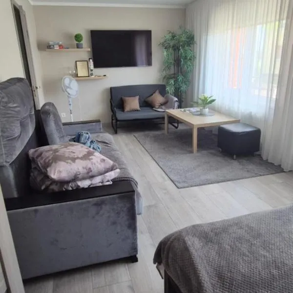Jaudas Apartment, hotel in Madona