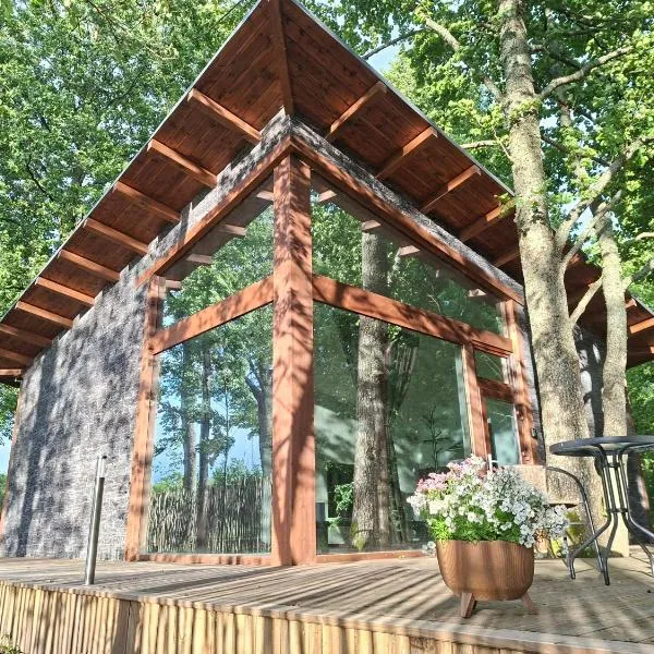DEIVID house for rent、Skulteのホテル